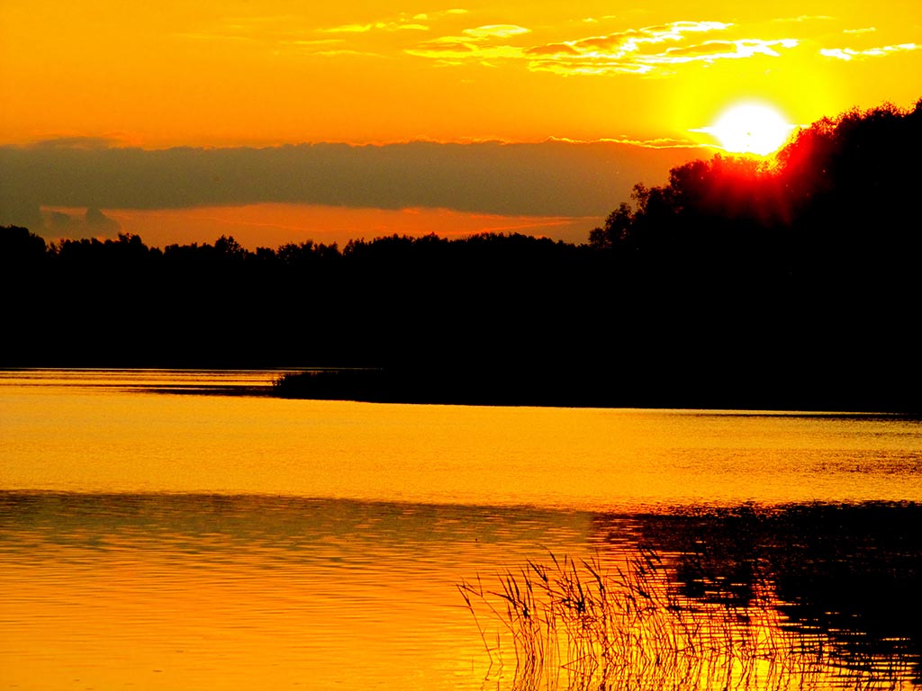 Bike tours in Hungary from Tokaj to Lake Tisza - The view from your hotel at Lake Tisza