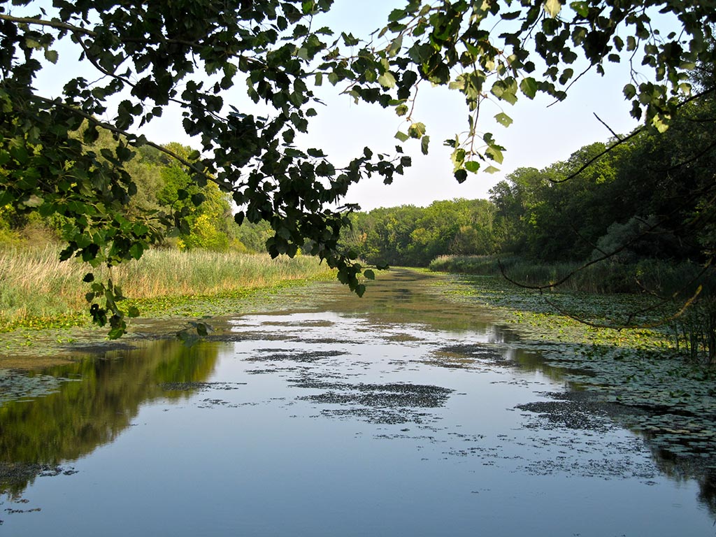 Bike tours in South Hungary - An idyllic arm of the Danube